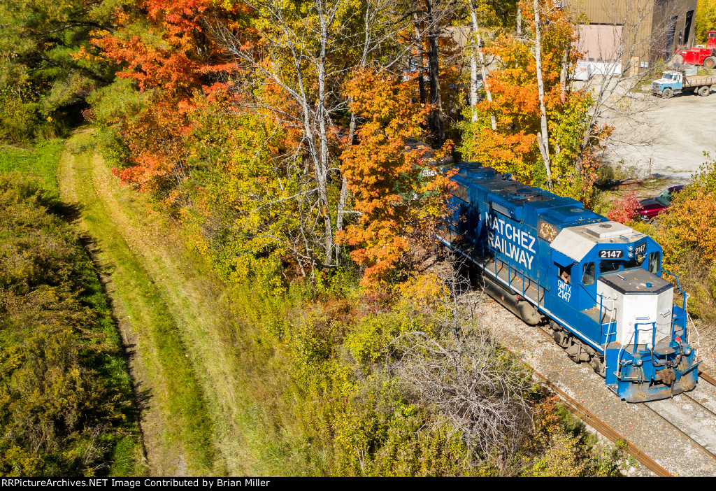 Stone train